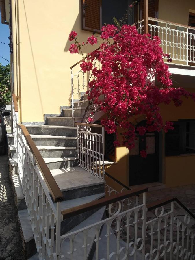 Holiday home Traditional Sophia's Family House