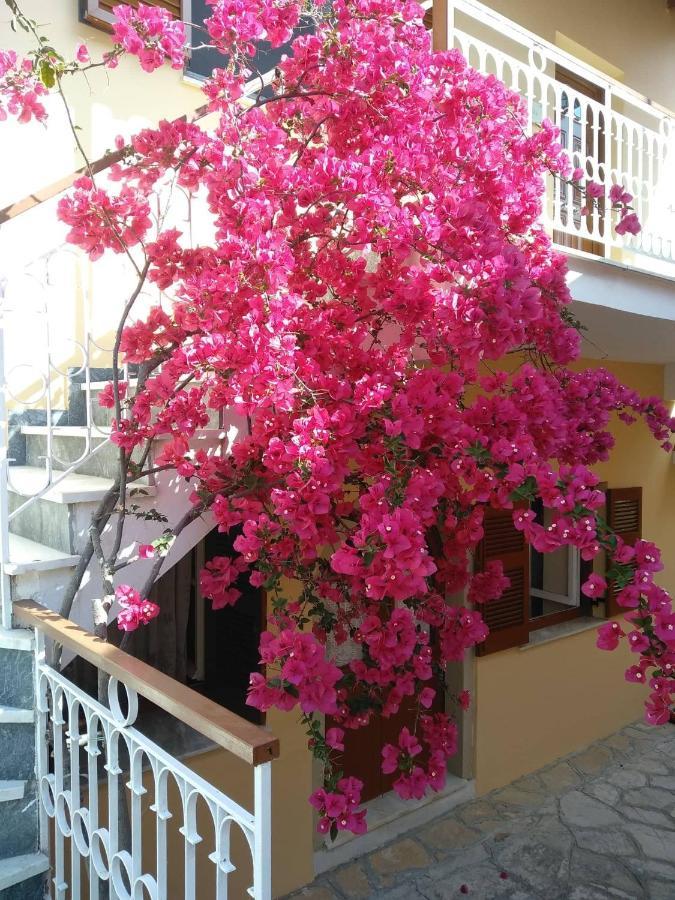 Holiday home Traditional Sophia's Family House Kastellanoi (Parelioi, Corfu)