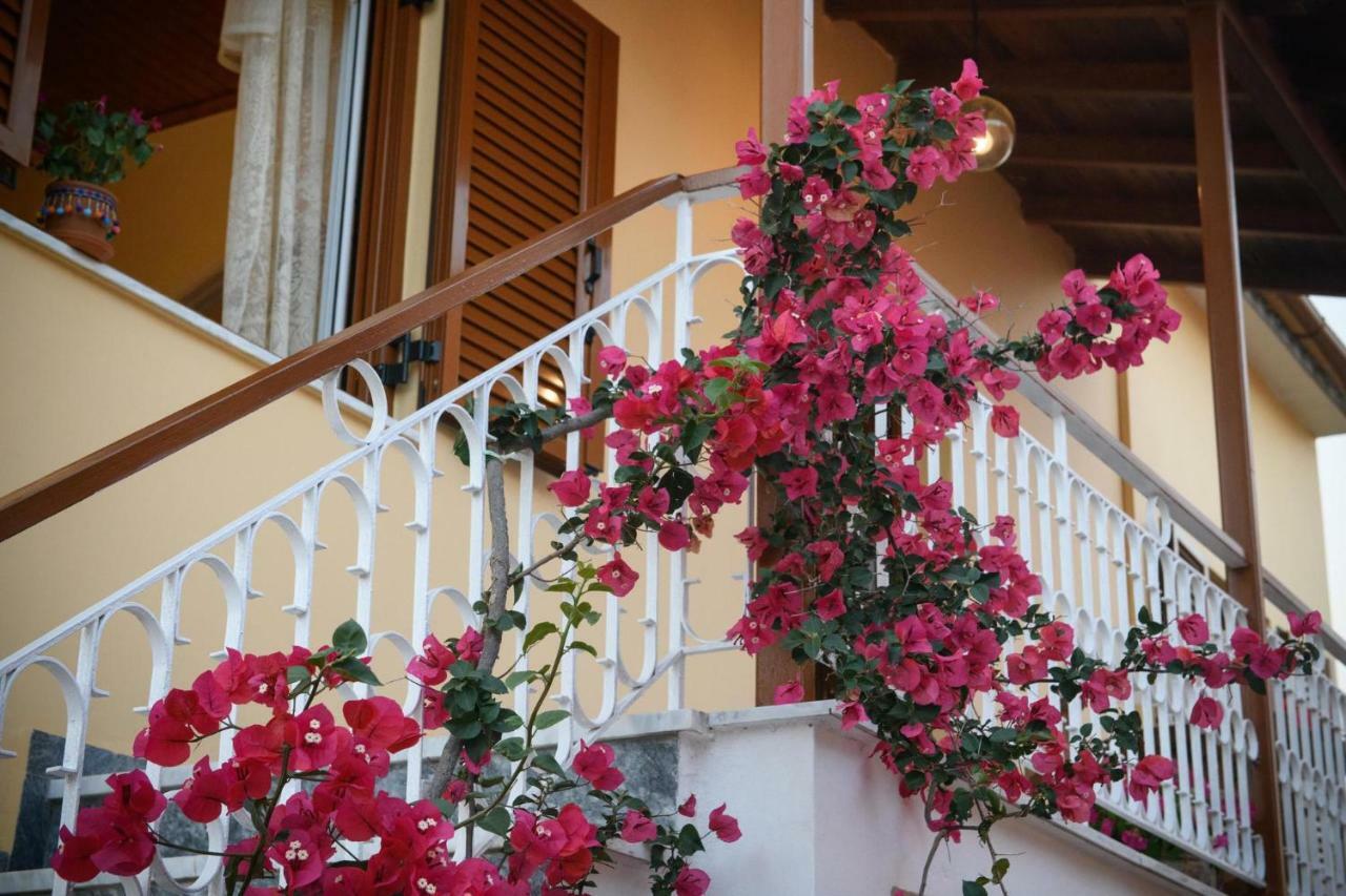 Traditional Sophia's Family House Holiday home